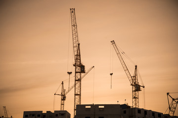 Housing development and highrise cranes