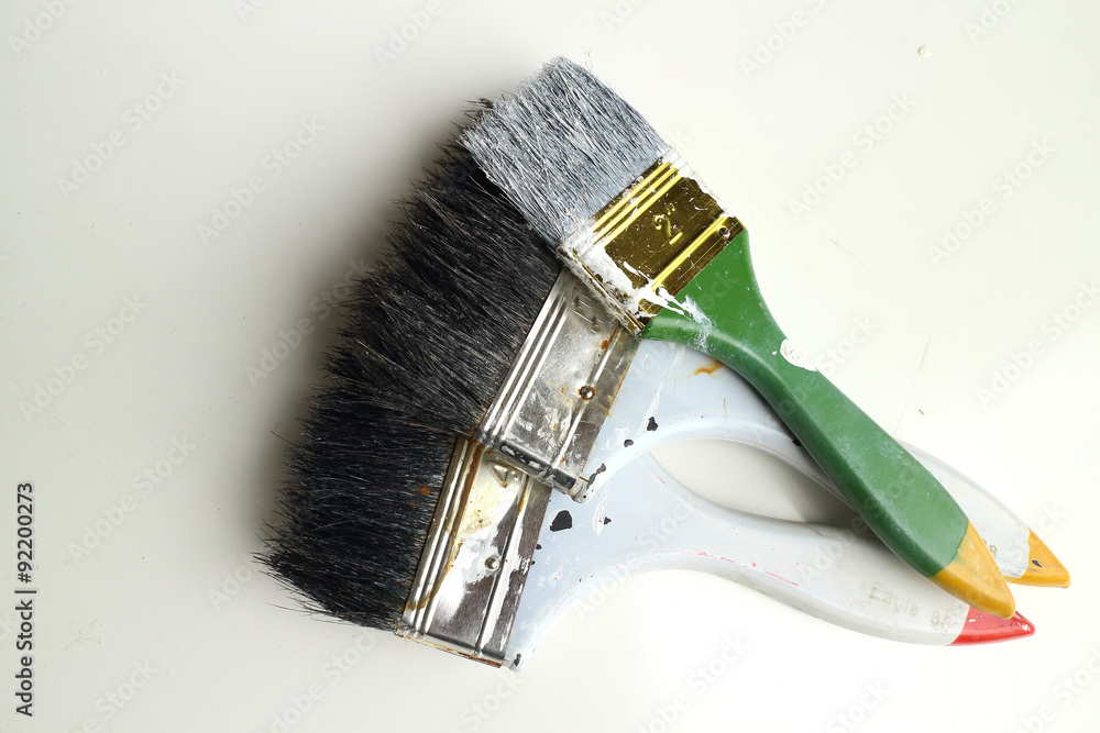 Wall mural paint brush and color