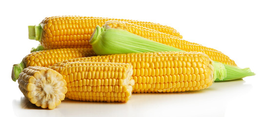Ripe corn isolated on white