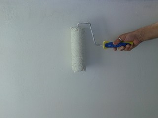 Rullo per pittura