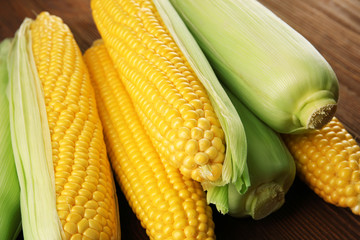 Ripe corn on wooden background