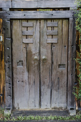 Fototapeta na wymiar Brown ancient ruined wooden door - Ancient wood entrance door and green ivy plant