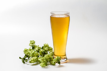 Light beer isolated from white