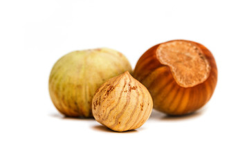 Hazelnut kernel isolated