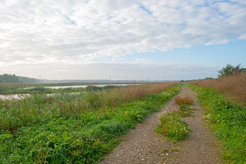 Fototapeta premium Shore of a lake under a blue cloudy sky in autumn