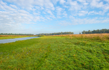 Shore of a lake under a blue cloudy sky in autumn