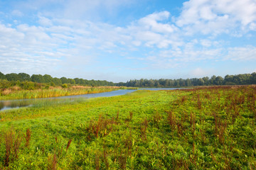 Fototapeta premium Shore of a lake under a blue cloudy sky in autumn