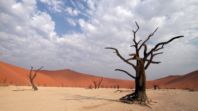 Dead Vlei time lapse showing clouds moving over sand dunes, dead trees and dried up lake.