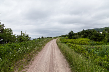 Fototapeta na wymiar Dirt Tracks in Cape Breton Island