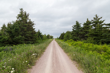 Fototapeta na wymiar Dirt Tracks in Cape Breton Island