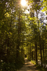 Spazierweg, Sonnenstrahlen