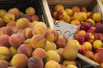 Market Vieste GarganoPhoto © Herby Meseritsch