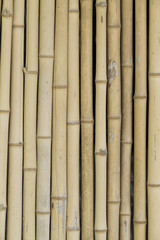 Naklejka premium bamboo wall background