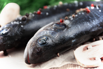 Raw seabass fish on the wooden board