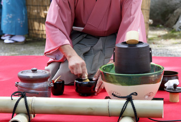 野だて