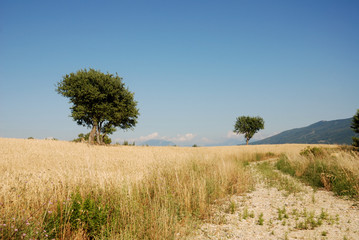 Obraz premium PAESAGGIO