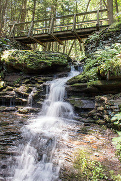 Waterfall and Bridge - Water Falls Down through the Green Pennsylvania Forest Under a Bridge and Over Moss Covered Ston