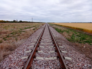Obraz premium Vías del tren en el medio del campo.-