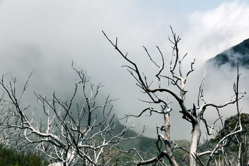 Obscure mountains