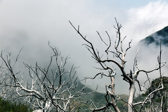 Fototapeta Obscure mountains
