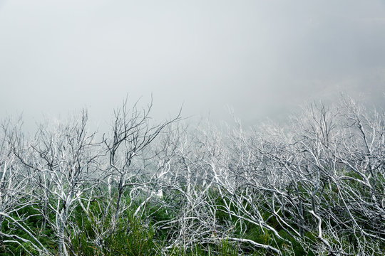 Fototapeta Obscure mountains
