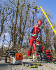 Baumpfleger mit Ausr&uuml;stung