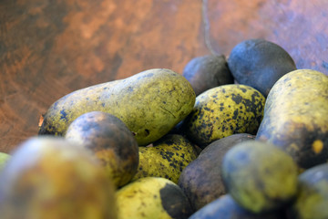 Bowl of Ripe Paw Paw Fruit