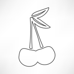 fruits cherry line icon