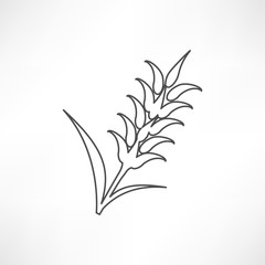 Ears of Wheat, Barley or Rye visual graphic icons, ideal for bread packaging,