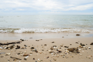 Fototapeta na wymiar Sea beach 1 - Sea wave and many shell on the beach under blue sky