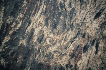 Vintage wood background