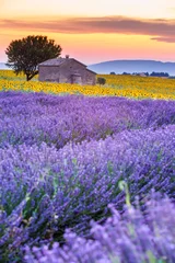 Foto auf Acrylglas Valensole, Provence, France. Lavender field full of purple flowers © ronnybas
