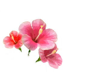 Fototapeta na wymiar water paint Pink Hibiscus rosa-sinensis flower