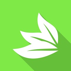 Icon leaf with a long shadow