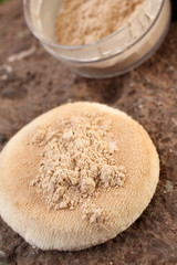 Makeup powder with sponge