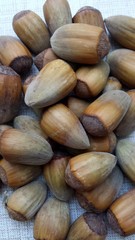 Hazelnuts