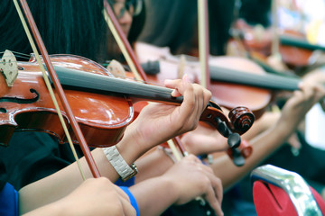Violinists recital