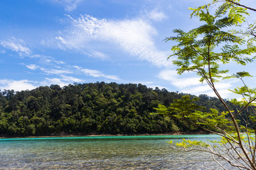 Green tropical island, covered with jungle