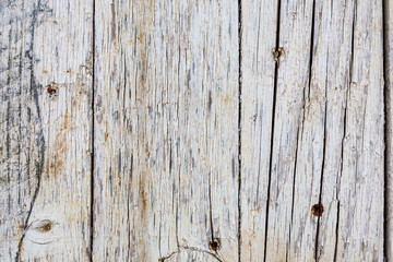 Wooden texture close up photo , nice background or texture