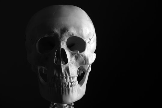 Scary Skeleton on black background