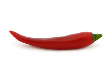 Chili rot freigestellt