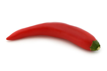 Chili rot