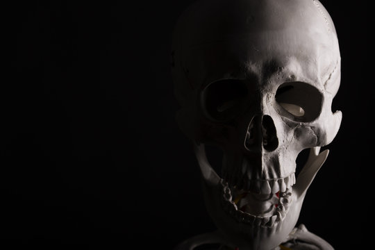 Scary Skeleton on black background