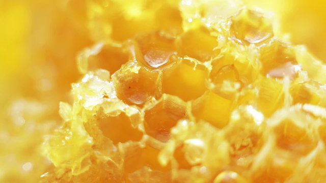 A bright yellow footage of honey being spilled onto the honeycomb