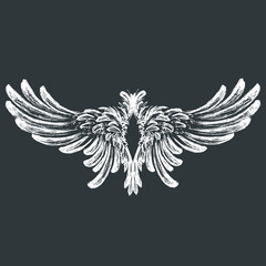 Wings vector illustration