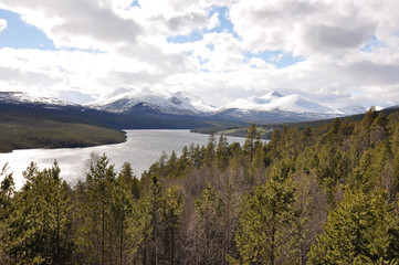 Norwegian nature / There are mountains plunging into the sea from hundreds of metres, fjords, tall...