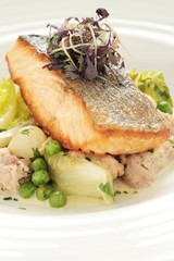 plated fish main meal