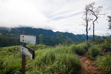 Way sign for trekkers and view of mountain