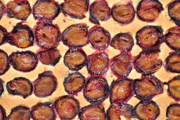 Freshly baked plum cake, top view