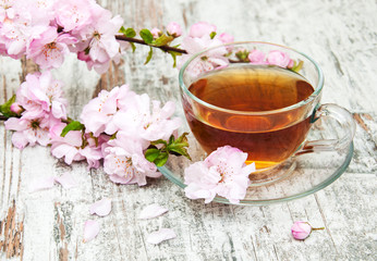 Cup of tea and sakura blossom